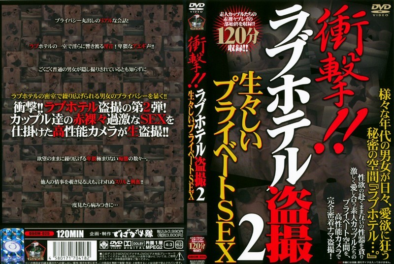 衝撃!!ラブホテル盗撮 2 生々しいプライベートSEX