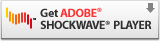 Adobe Shockwave Player