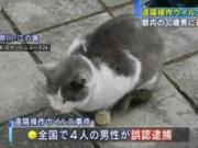 「【速報】江ノ島ネコ遠隔操作ウイルス事件の犯人逮捕（顔写真名前あり）！」のキャプチャー画像