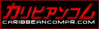 裏作品が１本ずつの単品購入できるＰＰＶサイトカリビアンコム プレミアム